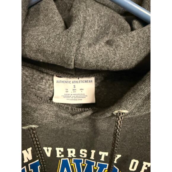 Y2K University Delaware Champion Sz small sweatshirt UNISEX - Picture 4 of 7